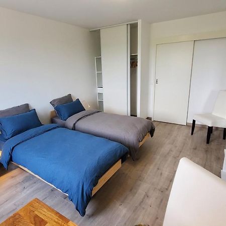 L'Ecrin De Saint Genest Lerpt - Belle Vue Et Calme Apartment Екстериор снимка