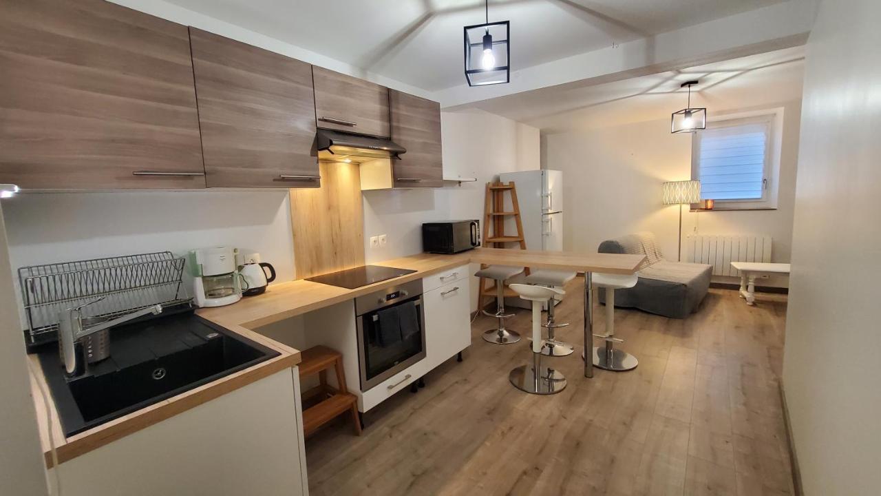 L'Ecrin De Saint Genest Lerpt - Belle Vue Et Calme Apartment Екстериор снимка
