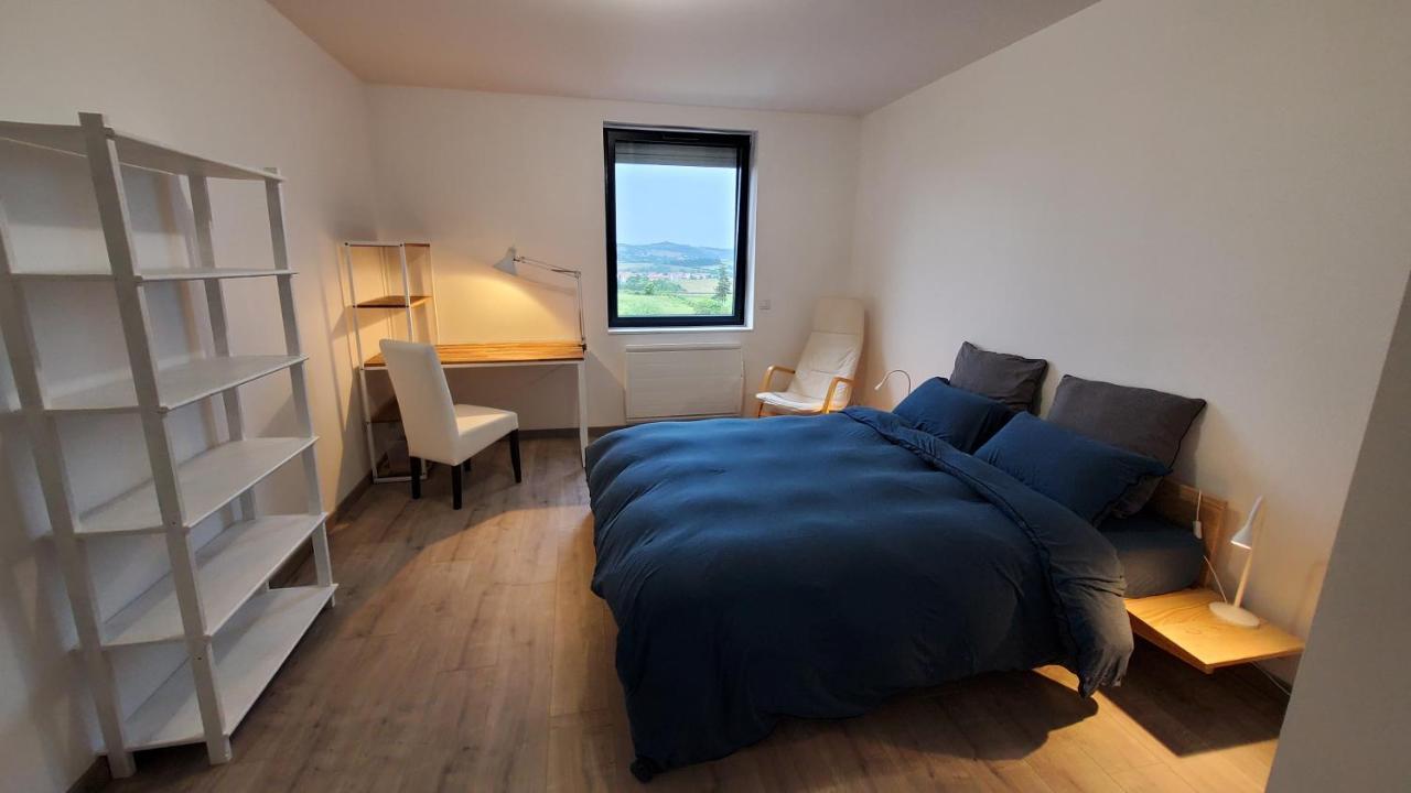 L'Ecrin De Saint Genest Lerpt - Belle Vue Et Calme Apartment Екстериор снимка