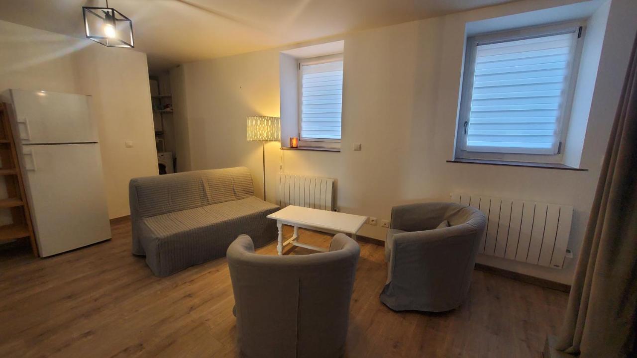 L'Ecrin De Saint Genest Lerpt - Belle Vue Et Calme Apartment Екстериор снимка