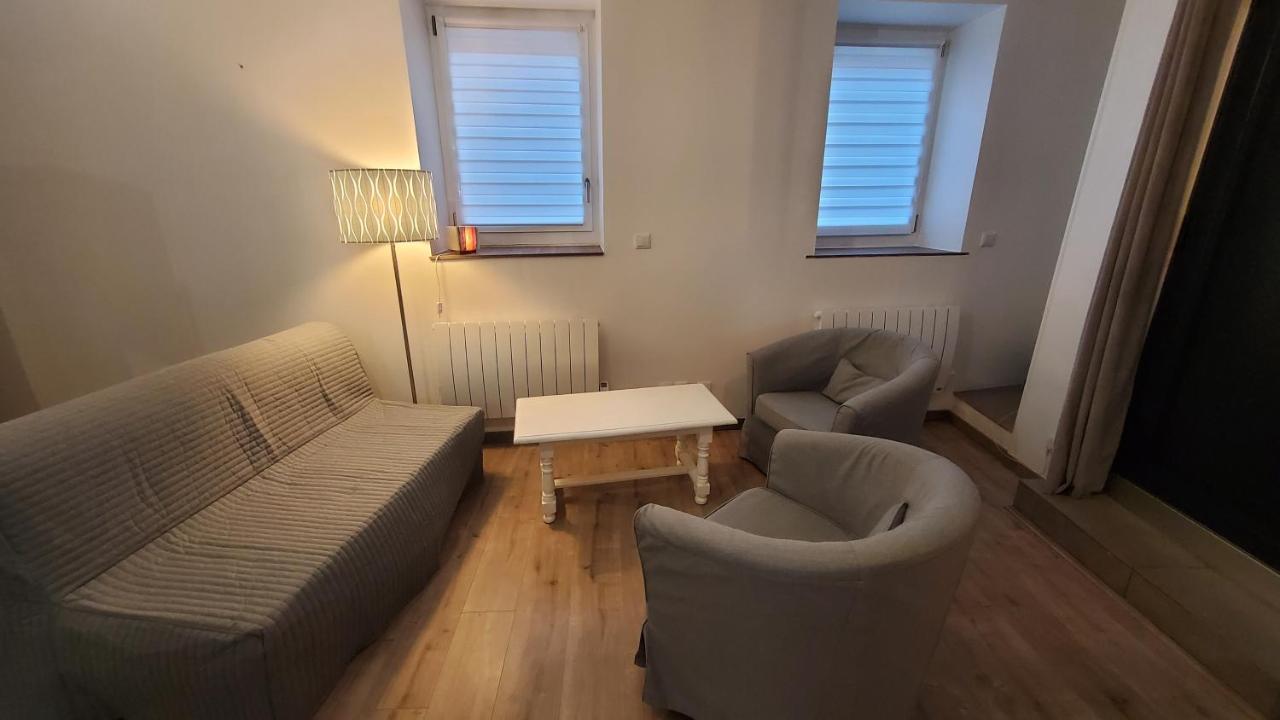L'Ecrin De Saint Genest Lerpt - Belle Vue Et Calme Apartment Екстериор снимка